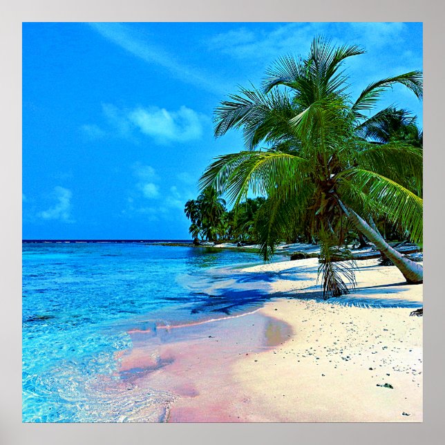 Tropische Insel mit Palmen und Sandstrand Poster (Vorne)