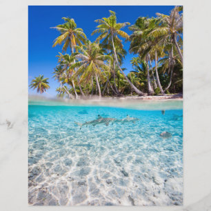 Tropische Insel unter und über Wasser Flyer