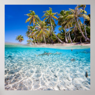 Tropische Insel unter und über Wasser Poster