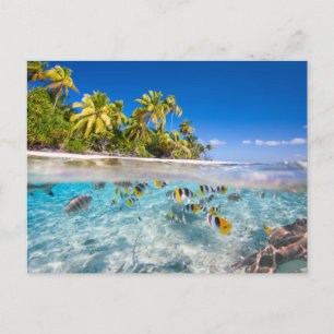 Tropische Insel unter und über Wasser Postkarte