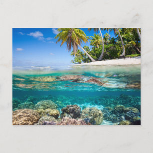 Tropische Insel unter und über Wasser Postkarte