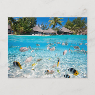 Tropische Insel unter und über Wasser Postkarte