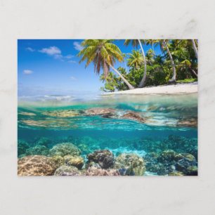 Tropische Insel unter und über Wasser Postkarte