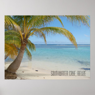Tropische karibische Insel Belize Strand und Palme Poster