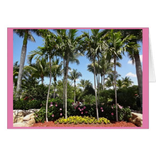 Tropische Kokosnuss-Plantage Bonita Springs Florid