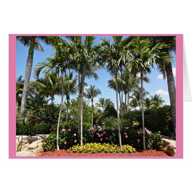 Tropische Kokosnuss-Plantage Bonita Springs Florid (Vorderseite (Horizontal))