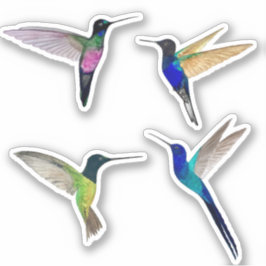 Tropische Kolibris Aufkleber