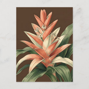 Tropische Korallen-Bromelie Botanisch Postkarte
