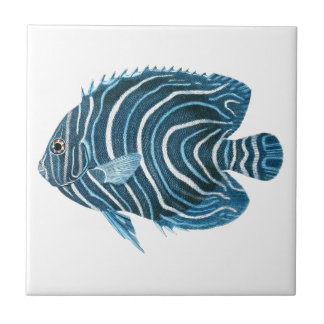 Tropische Korallenriff-Fische Fliese