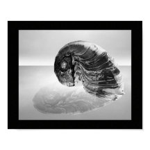 Tropische Kunst in Schwarz und Weiß