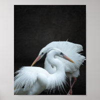 Tropische Kunst in Schwarz und Weiß