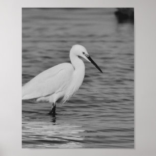 Tropische Kunst in Schwarz und Weiß Poster