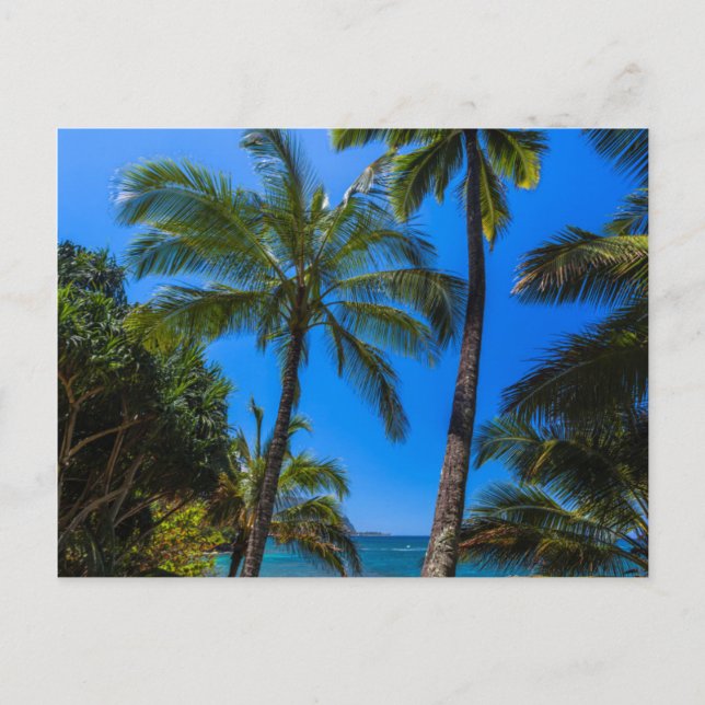 Tropische Küste 2 Postkarte (Vorderseite)