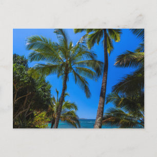Tropische Küstenlinie 2 Postkarte