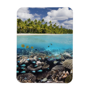 Tropische Lagune in SüdAri Atoll in Magnet