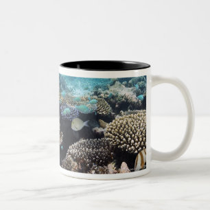 Tropische Lagune in SüdAri Atoll Zweifarbige Tasse