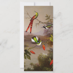 Tropische Landschaft mit Ten Hummingbirds Card