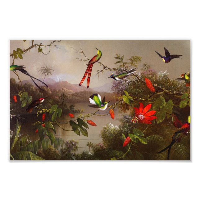 Tropische Landschaft mit zehn Hummingbirds Heade Fotodruck (Vorne)