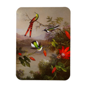Tropische Landschaft mit zehn Hummingbirds Heade Magnet