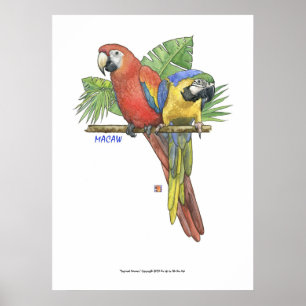Tropische Macaws Poster