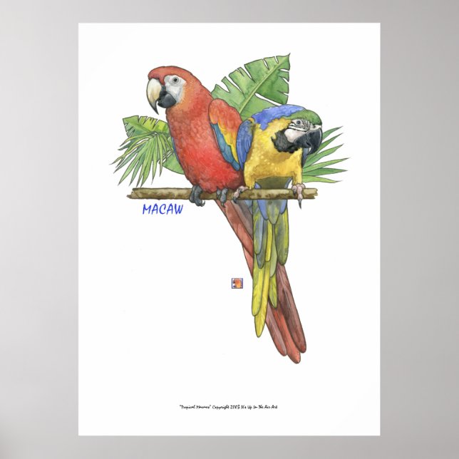 Tropische Macaws Poster (Vorne)