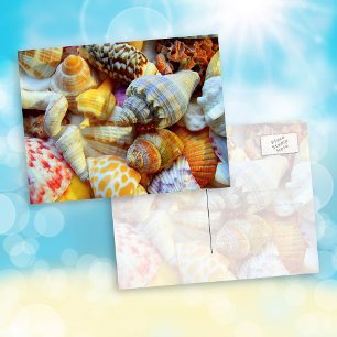 Tropische Muschelfotografie Postkarten