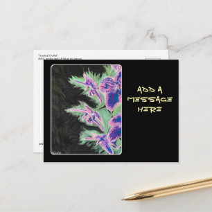 'Tropische Orchidee' Gemälde auf einer Postkarte