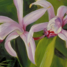 Tropische Orchideen-Botanik-Kunst
