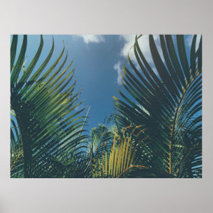 TROPISCHE PALMBLÄTTER POSTER