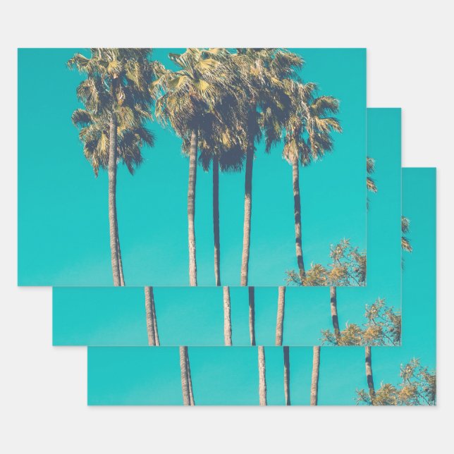 Tropische Palmen Geschenkpapier Set (Set)
