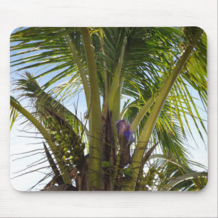 Tropische Palmen Mousepad