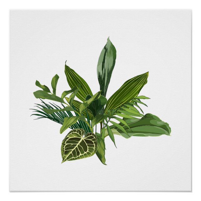 Tropische Palmenbananen und exotische Blätter. Poster (Vorderseite)