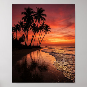 Tropische Palmenbaum-Silhouetten bei Sonnenunterga Poster