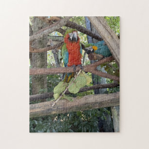 Tropische Papageien Puzzle