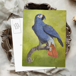 Tropische Papageien-Vintage-Illustration Postkarte