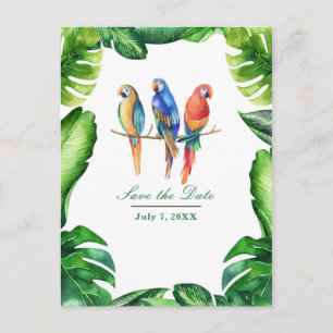 Tropische Papageien Vögel & Blätter Save the Date Ankündigungspostkarte