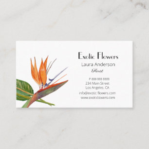 Tropische Paradiesvögel Aquarell Florist Visitenkarte