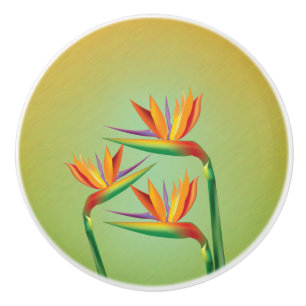 Tropische Paradiesvogel-Blumen Keramikknauf