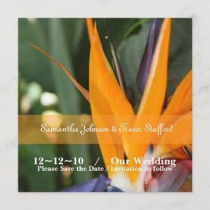 Tropische Paradiesvogel-Hochzeitsankündigungen Einladung