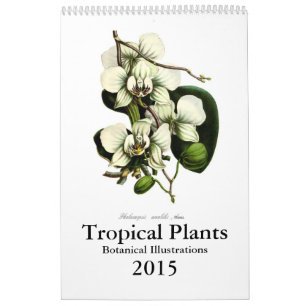 Tropische Pflanzen 2015 Kalender