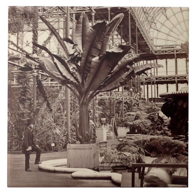 Tropische Pflanzen im ägyptischen Raum, Fliese (Vorderseite)