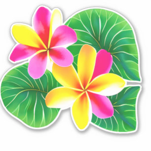 Tropische Plumeria-Blume Aufkleber