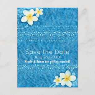 Tropische Plumeria-Blume Blaue Sommer-Einladung zu Ankündigungspostkarte