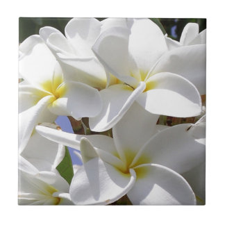 Tropische Plumeria-Blume Fliese