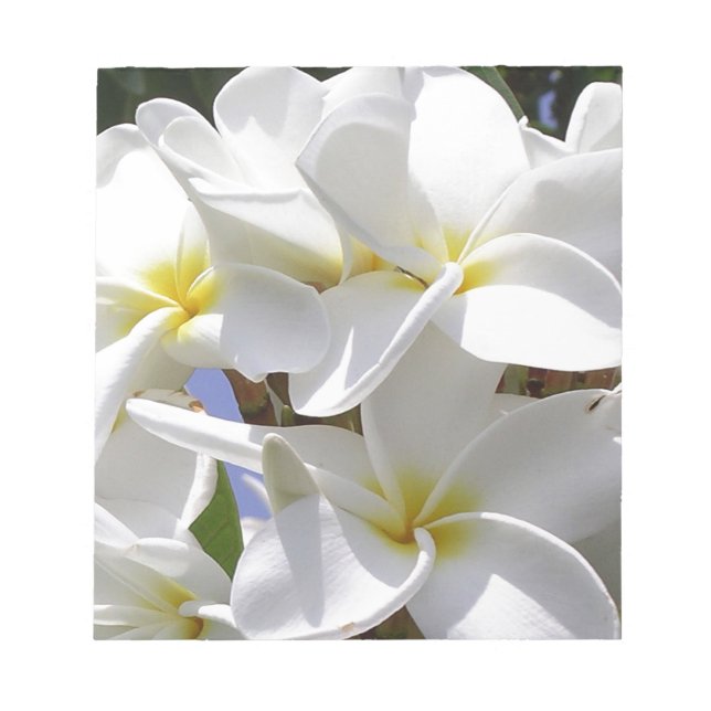 Tropische Plumeria-Blume Notizblock (Vorderseite)