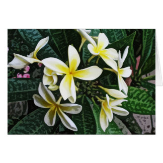 Tropische Plumeria-Karte