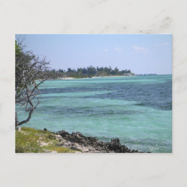 Tropische Postkarte (Vorderseite)