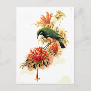 Tropische Pracht Postkarte