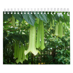 Tropische Regenwald-Pflanzen Kalender