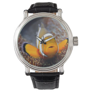Tropische Rifffische - Clownfish Armbanduhr